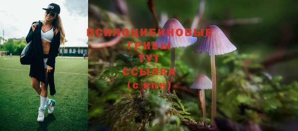 а пвп мука Пересвет