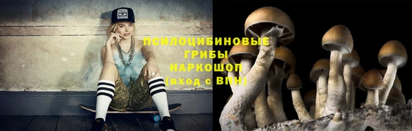 а пвп мука Пересвет