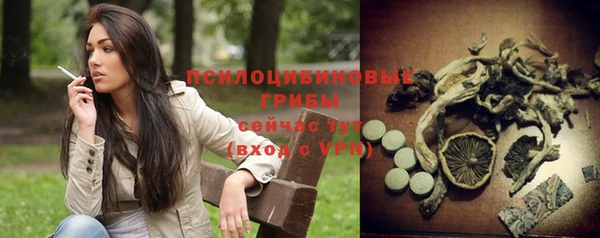 спиды Весьегонск