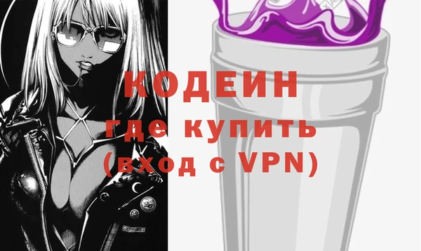 2c-b Пестово