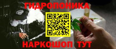 крисы Аргун