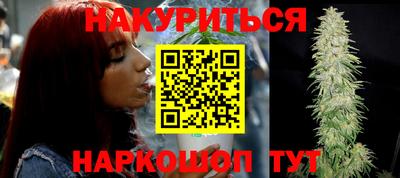 крисы Аргун