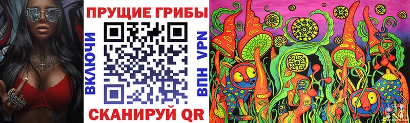 KRAKEN   Киров  Псилоцибиновые грибы GOLDEN TEACHER  купить наркотики сайты 