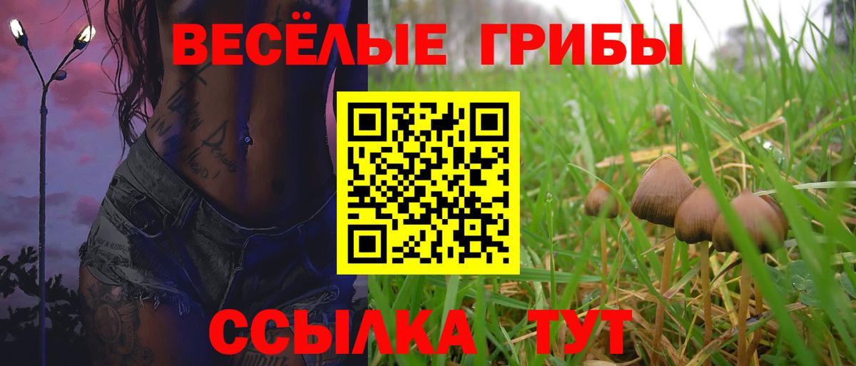 сколько стоит  Псилоцибиновые грибы Psilocybine cubensis  Киров  Галлюциногенные грибы Psilocybine cubensis 